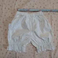 Item thumbnail for item 1f718ccd-6e0b-4a0a-90ef-c5b0bc43c3c3