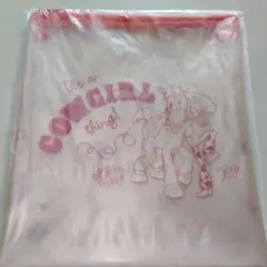 ディズニー　ピクサーくじ　K賞フラットポーチ　トイストーリー　新品☆