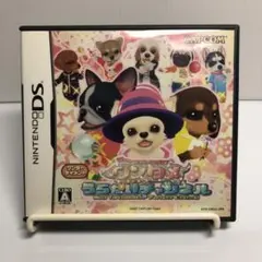 【DSソフト】ワンタメ うらないチャンネル