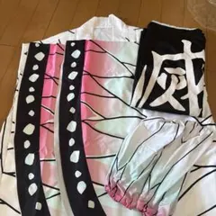 胡蝶しのぶコスプレ衣装大人用（新品・未使用）