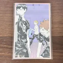 【ハイキュー】日向翔陽　影山飛雄　谷地仁花　メモリアルコレクション