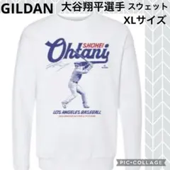 Item thumbnail for item dd10be03-afc1-4804-b483-9b9a142c27be