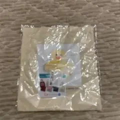 gemini66様 リクエスト 2点 まとめ商品