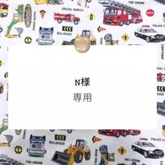 N様専用【レッスンバッグ/体操着袋】ハンドメイドオーダー