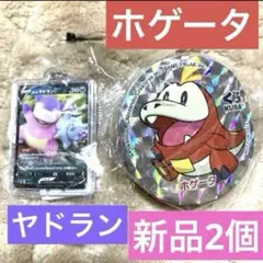 Item thumbnail for item feb9c885-294f-449b-93d1-f2fc15dbe72c