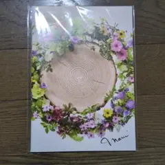 Item thumbnail for item 8043c975-64a3-441a-9699-5f18d9141c95