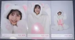 向井純葉　どうぶつ着ぐるみ　生写真