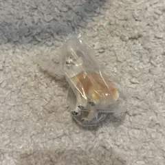 ふんばりーぬ 柴犬