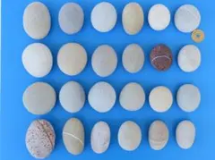 ネキ様 リクエスト 3点 まとめ商品