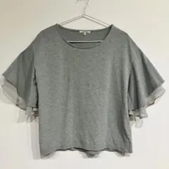 Item thumbnail for item 1036492e-a584-4055-9d39-92f70b884d55