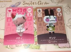 専用 amiiboカード2枚セット