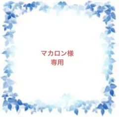 マカロン様　専用