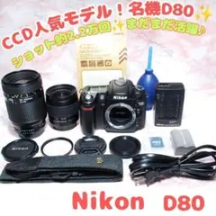 ✨初心者向け✨Nikon D80 Wレンズ 入門機 一眼レフ 望遠 結婚式 良品