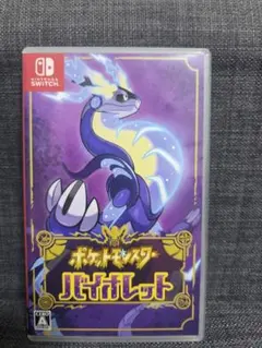 Nintendo Switch ポケットモンスター バイオレット