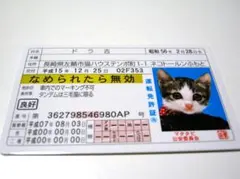 ★様 リクエスト 2点 まとめ商品