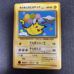 そらをとぶピカチュウ　ANAキャンペーンプロモ