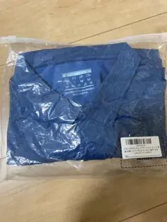 Item thumbnail for item 5d932bba-8cd5-4ea2-b474-117f98538765