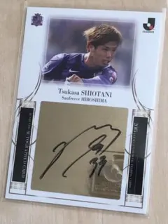 Item thumbnail for item e8960e16-cb0c-49ea-90af-338e841079f0