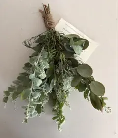 数種類のユーカリとパールアカシア ラベンダー　スワッグ　ドライフラワー