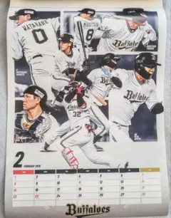 Item thumbnail for item 09616f50-11ba-45dd-9cc9-bf958da48d01