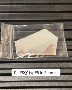 P. 'FSQ' (vp#5 In Flames) 胞子 ビカクシダのサムネイル