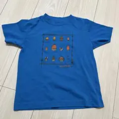 モンベルtシャツ　どんぐり