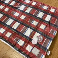 【新品未使】ふんわりあったか マイクロフランネル ブランケット ステディチェック
