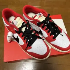 Nike Dunk Low Retro PRM 