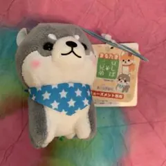 Item thumbnail for item 766d68f9-9638-4628-9ddc-76324d273481