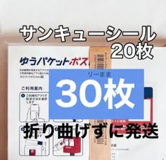 【30枚】オマケ付き ゆうパケットポストmini専用封筒 即日～翌日発送