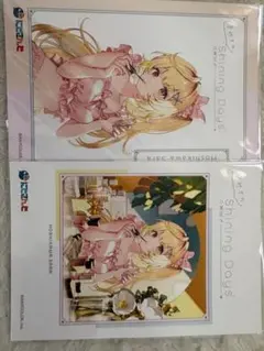 星川サラ ブロマイド 2枚セット