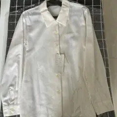 Item thumbnail for item 602c774c-b283-4302-b402-8027c6f7ca9e