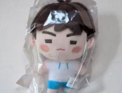 インザソム アイドル