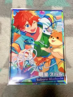 明星スバル まとめ売り 明星スバル グッズまとめ売り