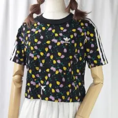 Item thumbnail for item d70d933f-fdf8-46b3-9984-cf4b815ca401