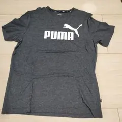 Item thumbnail for item aba8dd18-54f8-4b32-b193-09571309110c