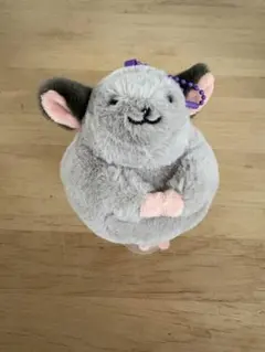カルディ　チンチラのみ