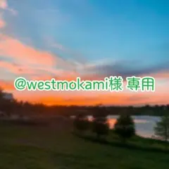 【@westmokami様専用】