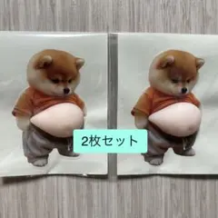 おなかぷにぷにシール　お腹　柴犬　スクイーズ　シリコン　緩衝材発送【2枚セット】