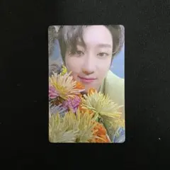 SEVENTEEN セブチ SECTOR17 THE8 トレカ