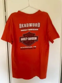 00s Harley Davidson レッドデビル Tシャツ ヘインズ - メルカリ
