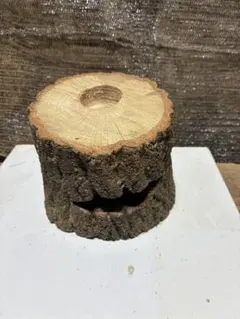 天然木 クワガタ　クワリウム　隠れ家 昆虫飼育のサムネイル