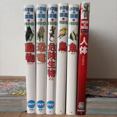 小学館の図鑑 まとめ売り