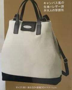 InRed付録 ナノ・ユニバース特製 大人の上質リュック 2way