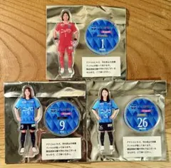 ニッパツ横浜FCシーガルズ アクリルスタンド3選手