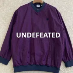 Item thumbnail for item 0f83d628-b3f1-4a58-b345-10dfcf13f20f