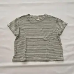 Bebe Holic border Tシャツ グリーン