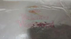 Vivienne Westwood マフラー ブラウン