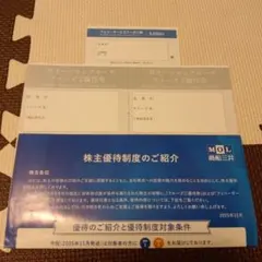 商船三井 株主優待券 さんふらわあ優待券1枚　三井オーシャンクルーズ優待券2枚のサムネイル