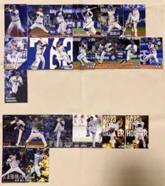 プロ野球チップスカード　セ・リーグ